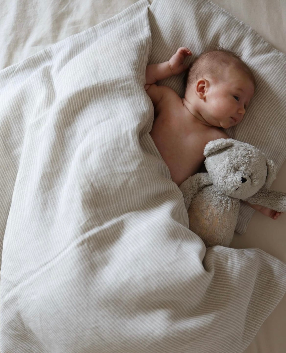 Peluche calmante moonie con luce notturna